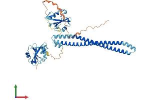 Protein Structure (PS) image for Phosphatidylinositol 3-kinase regulatory subunit gamma (PIK3R3) (AA 1-461) protein (His tag) (ABIN7557813)