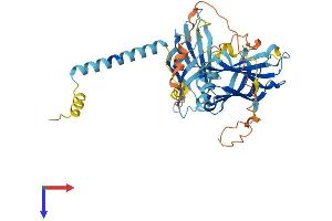 SYT12 Protein (AA 1-421) (His tag)