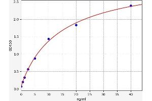 LRP6 ELISA Kit