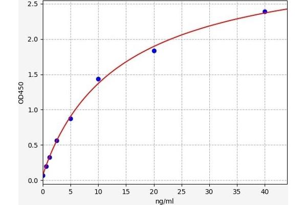 LRP6 ELISA Kit