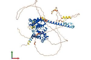 Protein Structure (PS) image for TBC1 Domain Family, Member 12 (TBC1D12) (AA 1-696) protein (His tag) (ABIN7557899)