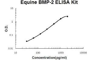 Horse equine BMP-2 PicoKine ELISA Kit standard curve (BMP2 ELISA Kit)