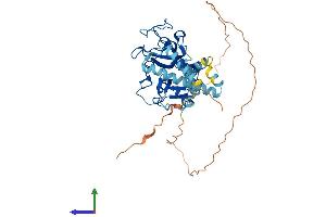 Protein Structure (PS) image for Ubiquitin Protein Ligase E3 Component N-Recognin 7 (UBR7) (AA 1-425) protein (His tag) (ABIN7545003)