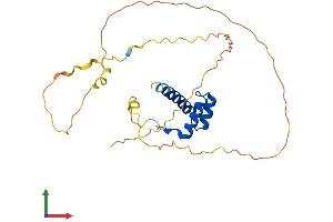 Protein Structure (PS) image for Homeobox B9 (HOXB9) (AA 1-250) protein (His tag) (ABIN7548359)