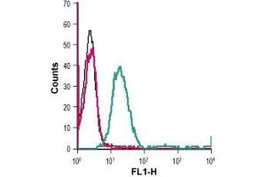 Cell surface detection of D2 dopamine receptor in live intact human Jurkat T-cell leukemia cell line: (black line) Cells. (Dopamine d2 Receptor Antikörper  (Extracellular) (FITC))