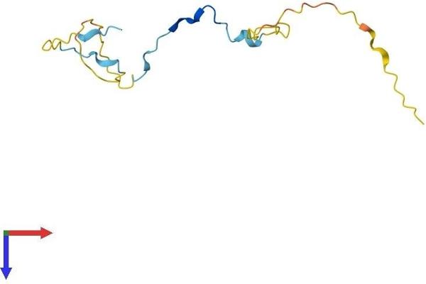 KIAA0101 Protein (AA 1-111) (His tag)
