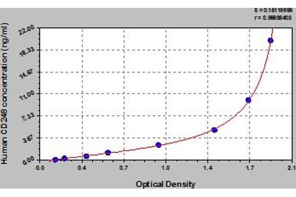 CD248 ELISA Kit