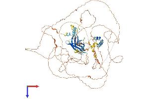 AlphaFold protein structure predicition of Mouse Recombinant Map10 Protein, UniprotID Q8BJS7 (MAP10 Protein (AA 1-891) (His tag))