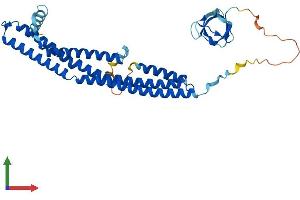 Protein Structure (PS) image for Endophilin-A1 (SH3G2) (AA 1-352) protein (His tag) (ABIN7557789)
