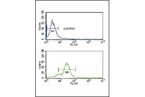Flow Cytometry (FACS) image for anti-Endothelin Receptor Type B (EDNRB) (AA 409-439), (C-Term) antibody (ABIN390760)