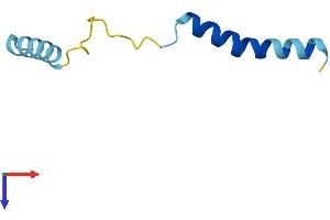 SERP2 Protein (AA 1-65) (Fc Tag)