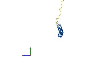Protein Structure (PS) image for Heat Shock Factor Binding Protein 1 (HSBP1) (AA 1-76) protein (Fc Tag) (ABIN7560592)
