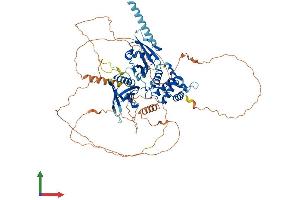 Protein Structure (PS) image for Erythrocyte Membrane Protein Band 4.1 Like 5 (EPB41L5) (AA 1-733) protein (His tag) (ABIN7547315)