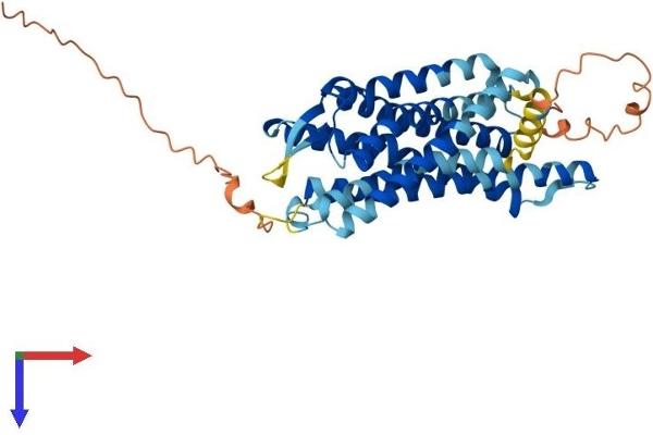 Prokineticin Receptor 2 Protein (PROKR2) (AA 1-384) (His tag)