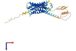 DRD3 Protein (AA 1-400) (His tag)