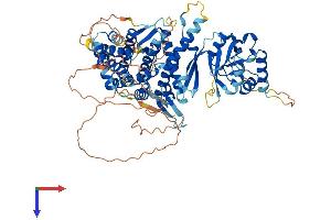BBS12 Protein (AA 1-710) (His tag)