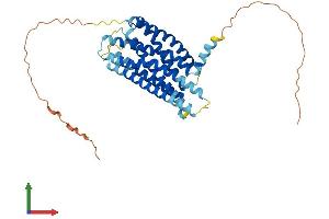 GPR34 Protein (AA 1-381) (His tag)