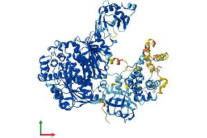 AlphaFold protein structure predicition of Human Recombinant UBA7 Protein, UniprotID P41226 (UBA7 Protein (AA 1-1012) (His tag))