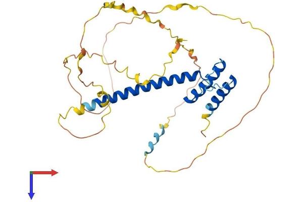 ATOH8 Protein (AA 1-321) (His tag)