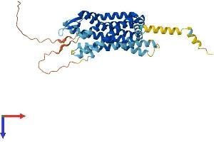 OPRK1 Protein (AA 1-380) (His tag)