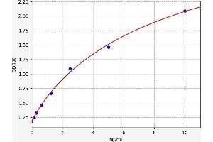 ABCA7 ELISA Kit