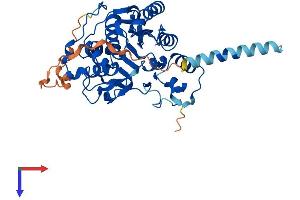 B3GNT7 Protein (AA 1-401) (His tag)