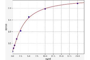 CEBPA ELISA Kit