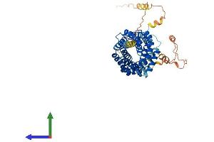 Protein Structure (PS) image for Tetratricopeptide Repeat Domain 23 (TTC23) (AA 1-488) protein (His tag) (ABIN7559352)