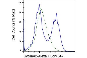 Validation of Cyclin A2 knockdown using flow cytometry. (Rekombinanter Cyclin A Antikörper)