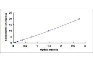 Typical standard curve (TIMP4 ELISA Kit)