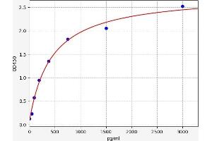 Prothrombin Fragment 1+2 (F1+2) ELISA Kit