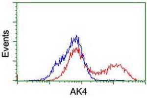 HEK293T cells transfected with either RC220572 overexpress plasmid (Red) or empty vector control plasmid (Blue) were immunostained by anti-AK4 antibody (ABIN2454868), and then analyzed by flow cytometry. (AK4 Antikörper)