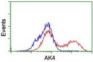 HEK293T cells transfected with either RC220572 overexpress plasmid (Red) or empty vector control plasmid (Blue) were immunostained by anti-AK4 antibody (ABIN2454868), and then analyzed by flow cytometry. (AK4 Antikörper)