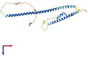 TNNT1 Protein (AA 1-278) (His tag)
