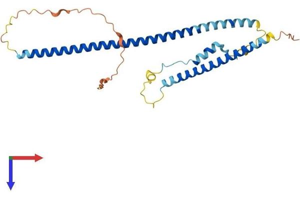 TNNT1 Protein (AA 1-278) (His tag)