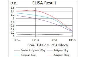 Red: Control Antigen (100ng) ; Purple: Antigen (10ng) ; Green: Antigen (50ng) ; Blue: Antigen (100ng). (BPIFA2 Antikörper)