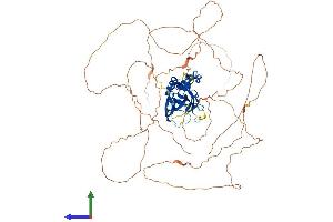 Protein Structure (PS) image for T-Box Brain Gene 1 (TBR1) (AA 1-681) protein (His tag) (ABIN7557830)