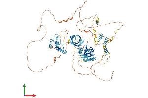 Protein Structure (PS) image for B-Cell Scaffold Protein with Ankyrin Repeats 1 (BANK1) (AA 1-783) protein (His tag) (ABIN7558359)
