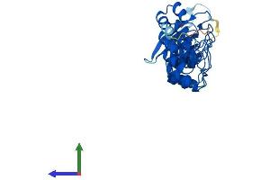 Protein Structure (PS) image for Fibronectin Type III and Ankyrin Repeat Domains 1 (FANK1) (AA 1-344) protein (His tag) (ABIN7561237)