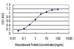 Detection limit for recombinant GST tagged RSU1 is approximately 0. (RSU1 Antikörper  (AA 1-277))