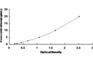 Typical standard curve (ABCC11 ELISA Kit)