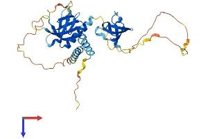 SKAP2 Protein (AA 1-359) (His tag)