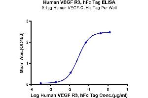 ELISA image for Fms-Related Tyrosine Kinase 4 (FLT4) (AA 25-776) protein (Fc Tag) (ABIN7275832)