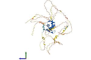 Protein Structure (PS) image for Forkhead Box C2 (MFH-1, Mesenchyme Forkhead 1) (FOXC2) (AA 1-494) protein (His tag) (ABIN7557742)