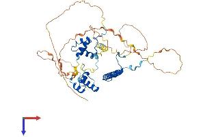 RCOR3 Protein (AA 1-451) (His tag)