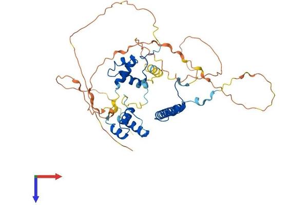 RCOR3 Protein (AA 1-451) (His tag)