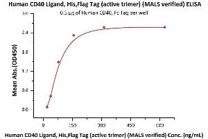 Immobilized Human CD40, Fc Tag (ABIN2180794,ABIN2859199) at 5 μg/mL (100 μL/well) can bind Human CD40 Ligand, His,Flag Tag (active trimer) (MALS verified) (ABIN6950957,ABIN6952262) with a linear range of 20-156 ng/mL (QC tested). (CD40 Ligand Protein (CD40LG) (AA 116-261) (DYKDDDDK Tag,His tag))
