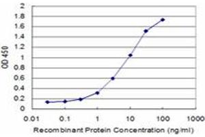 Detection limit for recombinant GST tagged COPB is approximately 0. (COPB1 Antikörper  (AA 854-953))