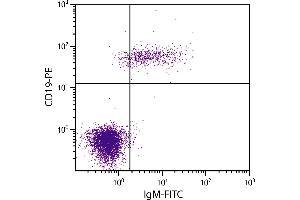 Human peripheral blood lymphocytes were stained with Goat Anti-Human IgM-FITC and Mouse Anti-Human CD19-PE.