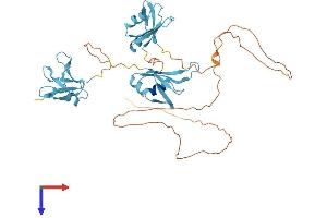 TARDBP Protein (AA 1-414) (His tag)